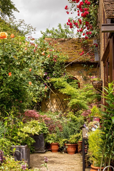 Old Thatch & The Millennium Barn